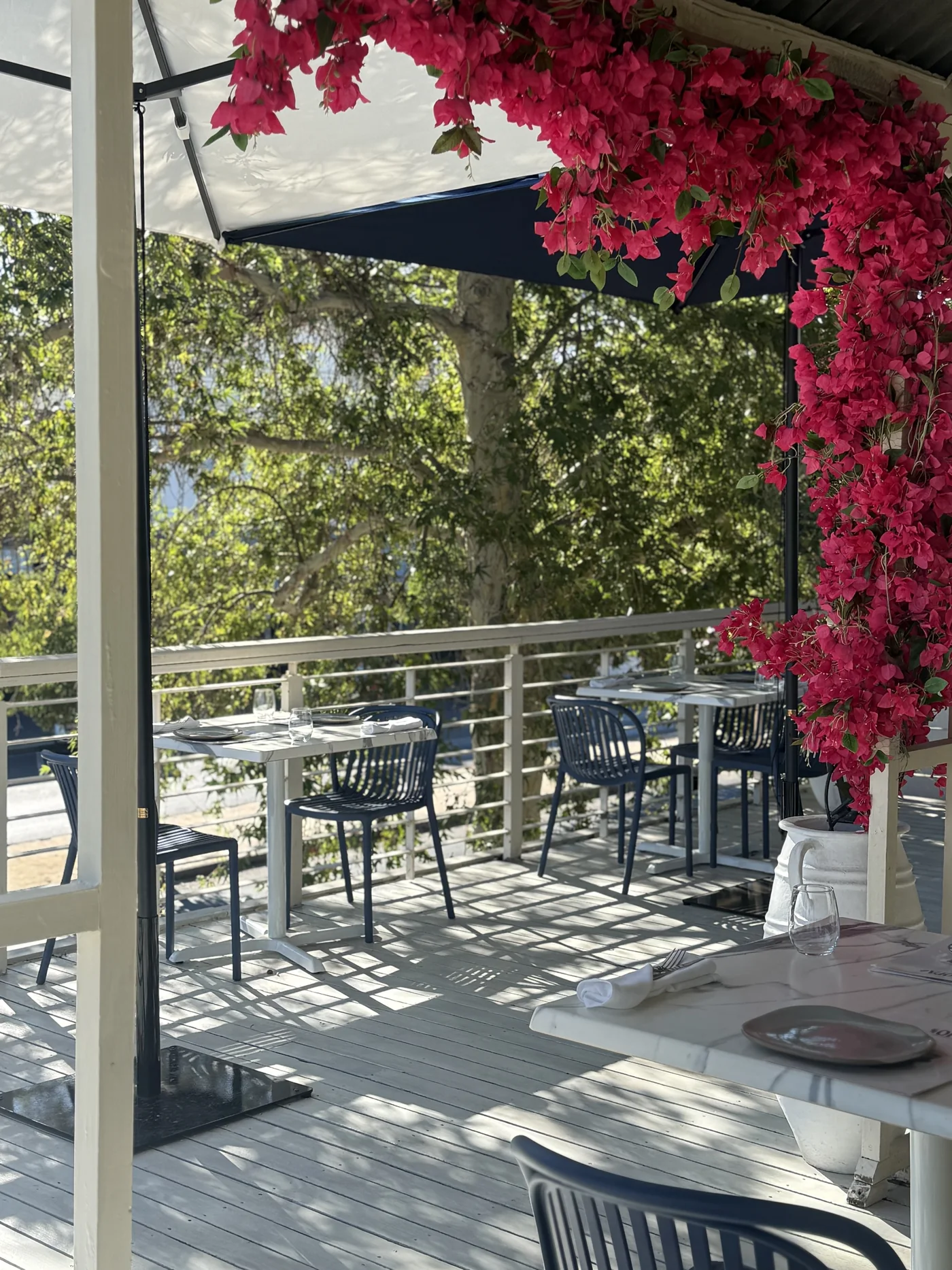 The balcony at Opa Echuca under the river gums